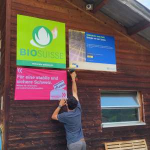 ursin gustin vorstand sbv
