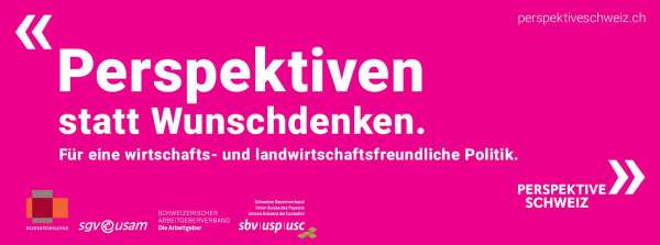 perspektiveschweiz werbemittel de pdf